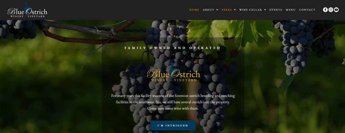 screen capture of Blue Ostrich Winery